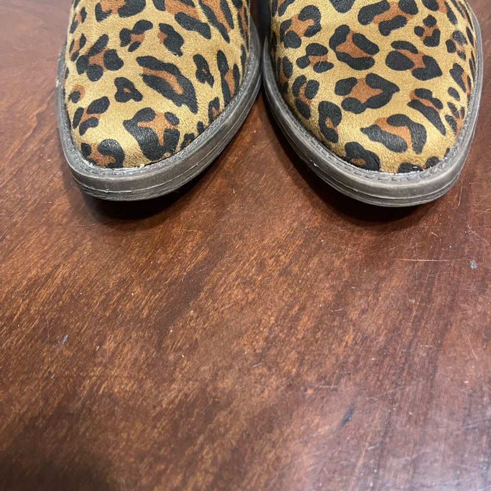 Volatile Cavalry Leopard Print Ankle Boots - Picture 4 of 12